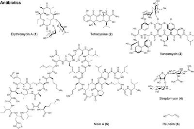 A Review of the Microbial Production of Bioactive Natural Products and Biologics